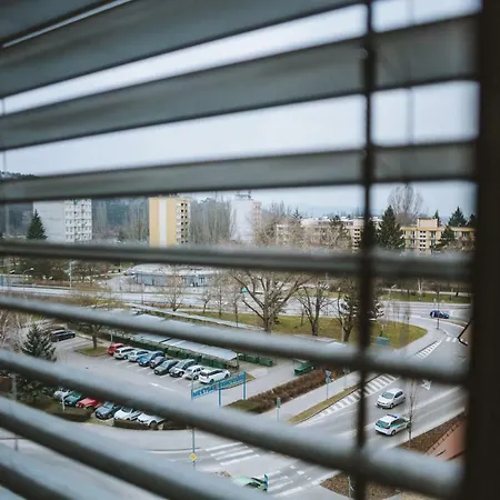 Design Apartment, The City Centre Close To The Health Spa Piest'any